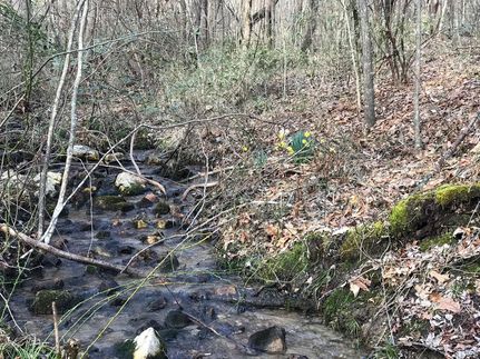 Commercial Property in Alexander County, North Carolina