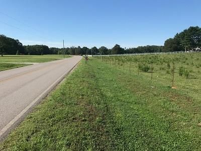 Timberland Property in Morgan County, Alabama
