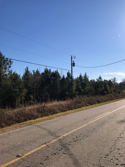 Timberland Property in Marion County, South Carolina