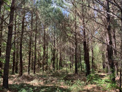 Recreational Property in Montgomery County, Alabama