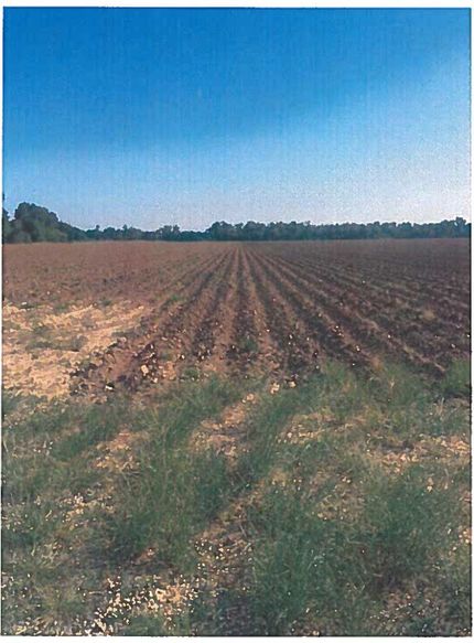 Farm and Ranch in Colusa County, California