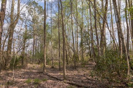 Recreational Property in Pender County, North Carolina