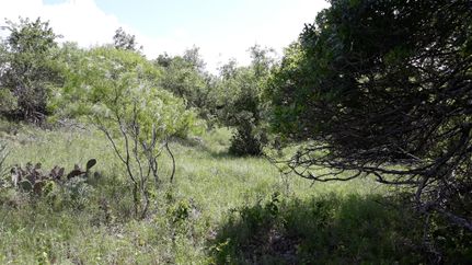 Farm and Ranch in Brown County, Texas