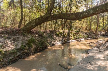 Recreational Property in Tyler County, Texas