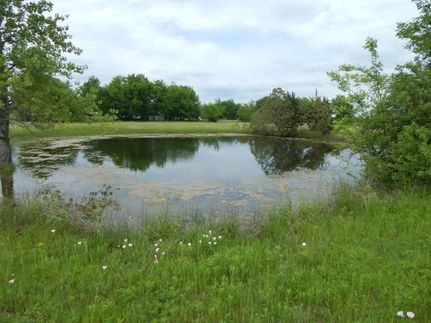 Farm and Ranch in Lamar County, Texas