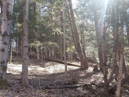 Undeveloped Land in Madison County, New York
