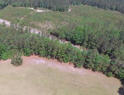 Undeveloped Land in Calhoun County, South Carolina