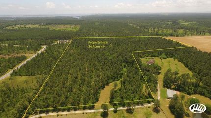 Hunting Property in Baldwin County, Alabama