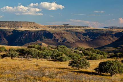 Hunting Property in Jeff Davis County, Texas