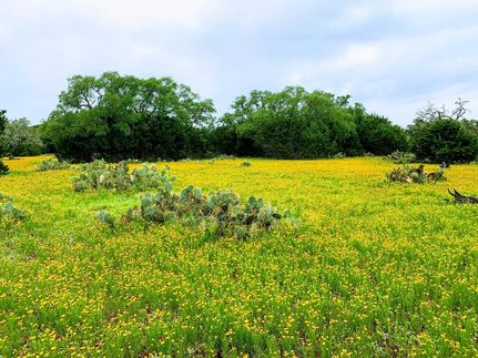 Farm and Ranch in Burnet County, Texas