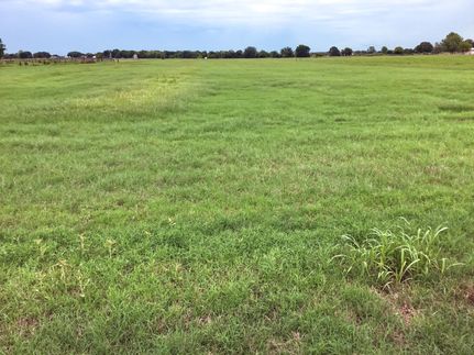 Undeveloped Land in Wise County, Texas