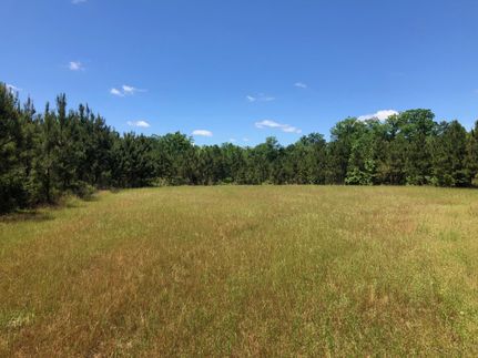 Recreational Property in Butler County, Alabama