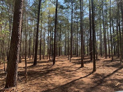Land in Lamar County, Georgia