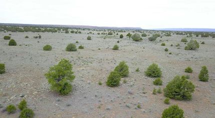 Farm and Ranch in Cibola County, New Mexico