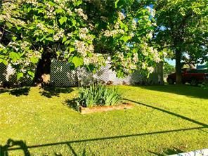 Undeveloped Land in Fannin County, Texas