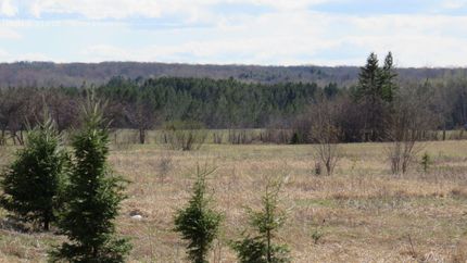 Recreational Property in Bayfield County, Wisconsin