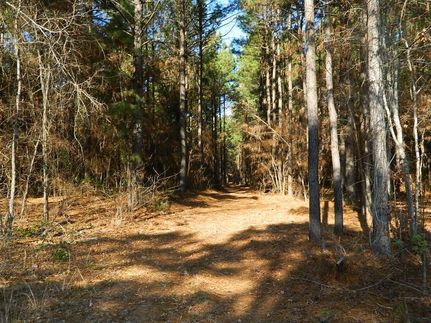Land in Cass County, Texas