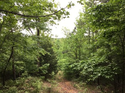 Land in Pike County, Arkansas