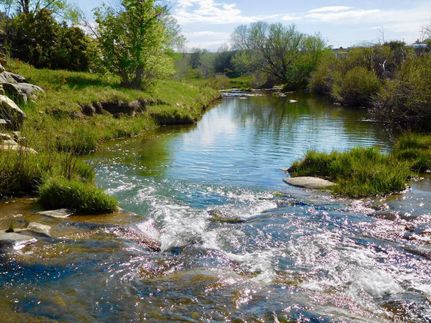 Riverfront Property in San Miguel County, New Mexico