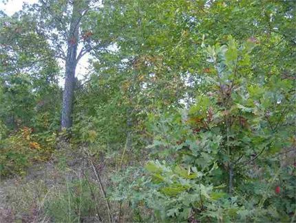 Land in Searcy County, Arkansas
