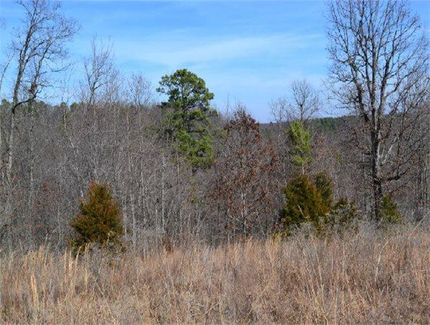 Farm and Ranch in Marion County, Arkansas