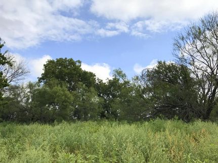 Recreational Property in Throckmorton County, Texas