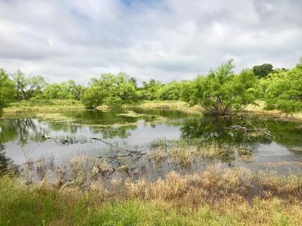 Undeveloped Land in Eastland County, Texas