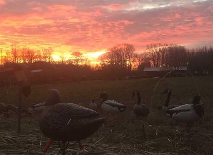 Farm and Ranch in Henry County, Tennessee