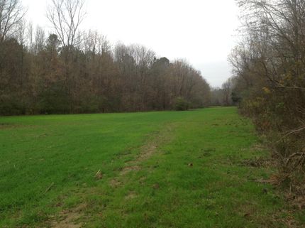 Farm and Ranch in Lowndes County, Alabama