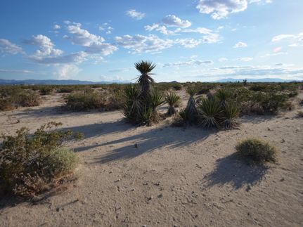 Recreational Property in San Bernardino County, California