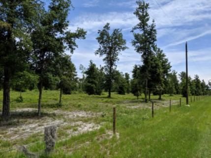 Undeveloped Land in Columbia County, Florida