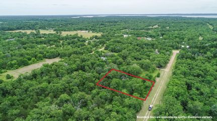 Undeveloped Land in Burleson County, Texas