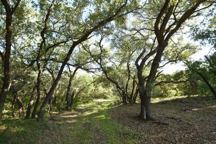 Land in Bexar County, Texas