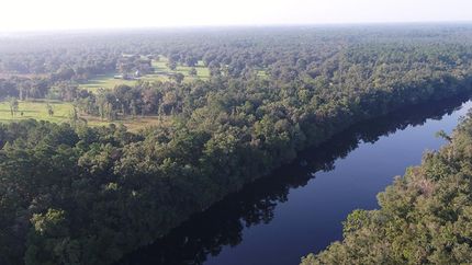 Undeveloped Land in Suwannee County, Florida