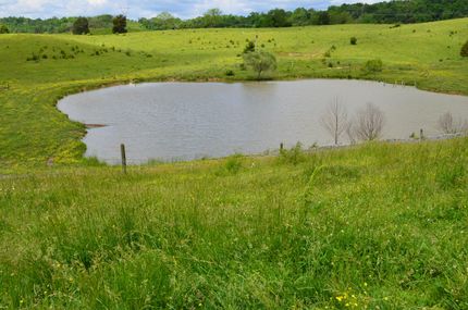 Commercial Property in Hawkins County, Tennessee