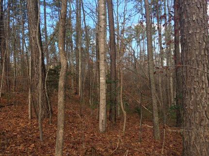 Recreational Property in Lancaster County, Virginia