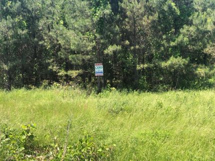 Undeveloped Land in Pontotoc County, Mississippi