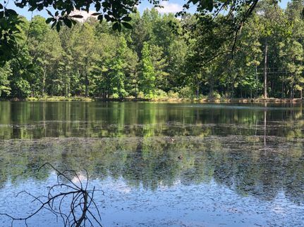 Undeveloped Land in Kershaw County, South Carolina