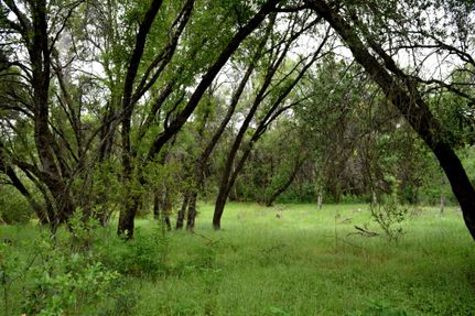 Undeveloped Land in Mariposa County, California