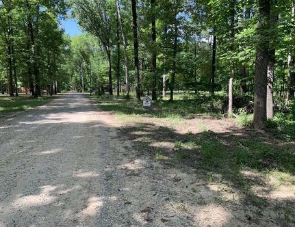 Riverfront Property in Greene County, Alabama