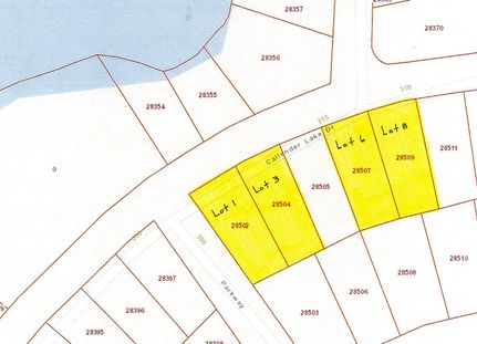 Undeveloped Land in Henderson County, Texas
