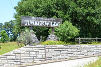Undeveloped Land in Walker County, Texas