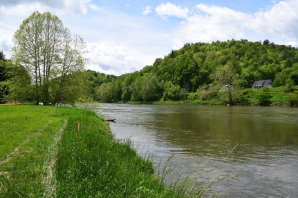Undeveloped Land in Grayson County, Virginia