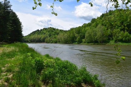 Waterfront Property in Grayson County, Virginia