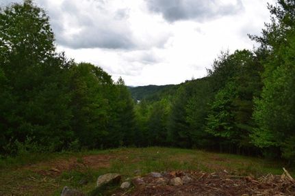 Undeveloped Land in Grayson County, Virginia