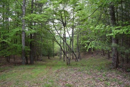 Undeveloped Land in Grayson County, Virginia