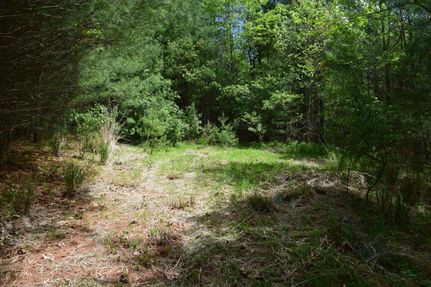 Undeveloped Land in Grayson County, Virginia
