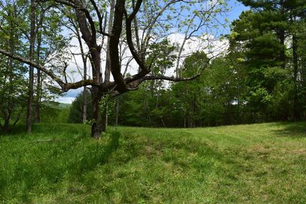 Recreational Property in Grayson County, Virginia