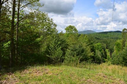 Undeveloped Land in Grayson County, Virginia