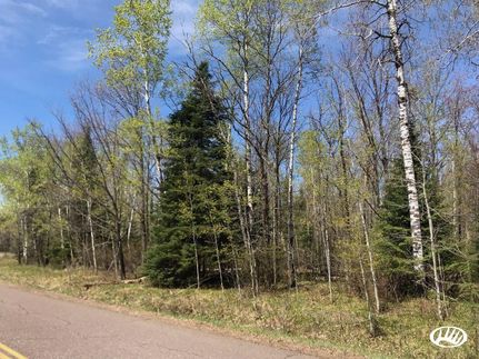Timberland Property in Carlton County, Minnesota